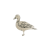 Kaczka poprawka canva.png