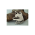 Lis na drzewie.png
