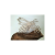 Pszcoła z kwiatkiem na drzewie.png